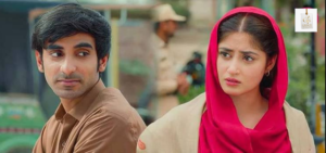 Sajal Aly and Hamza Sohail in Zard Patton Ka Bunn, bringing emotion and depth to the drama’s memorable story.